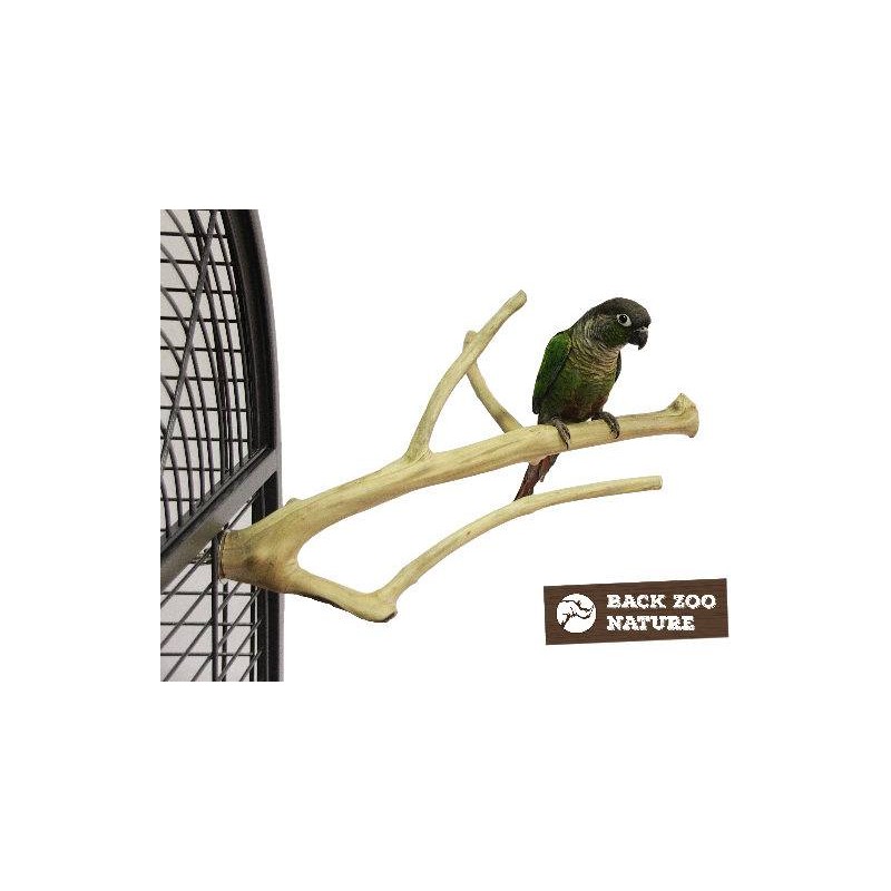 Perchoir Java Multi Perchoirs Premium 30cm Small - Back Zoo Nature Perchoir Java Multi Perchoirs Premium 30cm Small - Back Zoo Nature