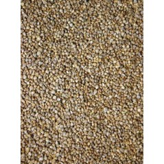 Graines d'épinard 15kg - Grizo à 21,15 € - Grizo - 103072150 - Graines simples