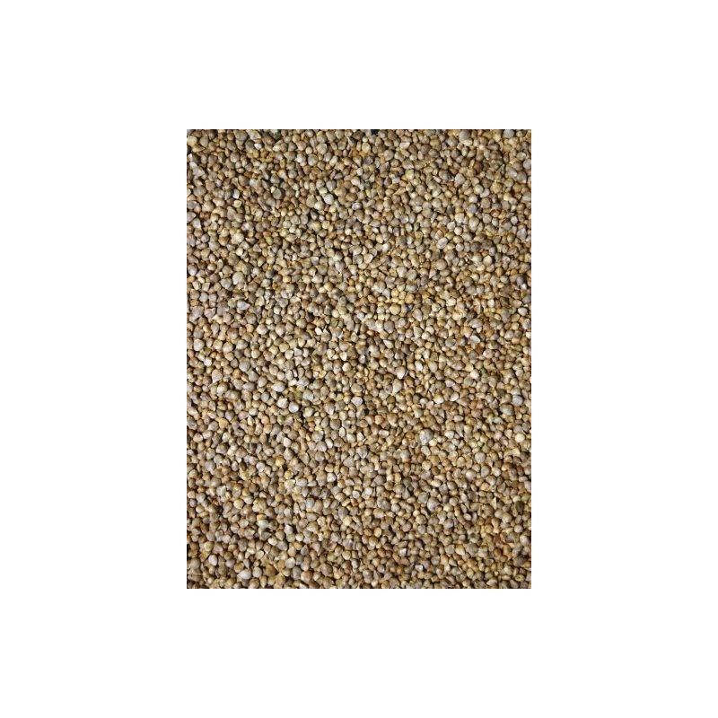Graines d'épinard 15kg - Grizo