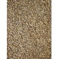 Graines d'épinard 15kg - Grizo