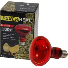 Ampoule infrarouge R80 230V 100W Rouge - PowerHeat 24140 Kinlys 7,70 € Ornibird