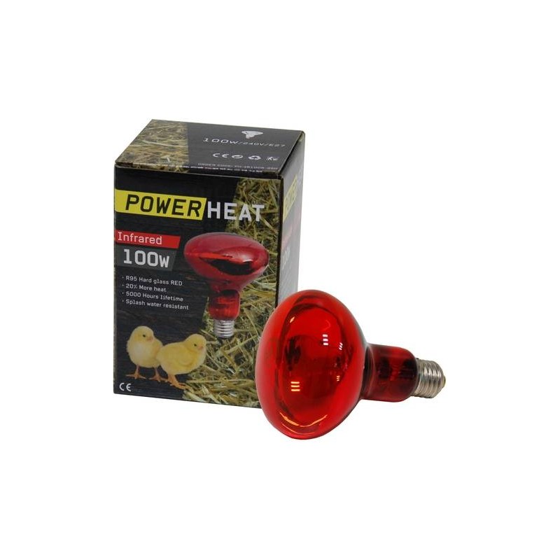 Ampoule infrarouge R95 230V 60W Rouge - PowerHeat Ampoule infrarouge R95 230V 60W Rouge - PowerHeat