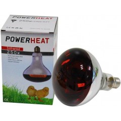 Infrared lamp 150W (glass red) - Powerheat 24143 Kinlys 13,35 € Ornibird