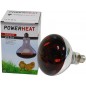 Ampoule infrarouge R125 250W Rouge - Powerheat Ampoule infrarouge R125 250W Rouge - Powerheat