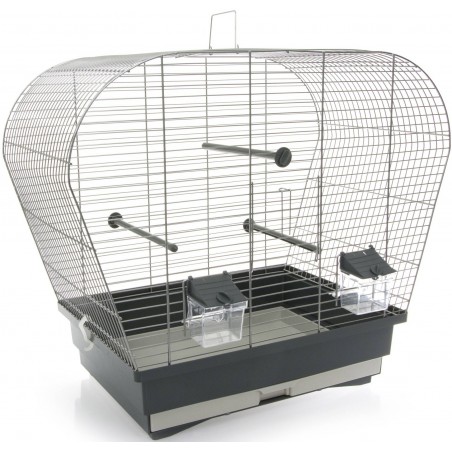 Ornibird SRL - Accueil