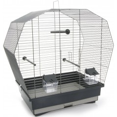 Cage pour Oiseaux Antonio - 56,95 € - Kinlys - 5400351151911 - Ornibird SRL
