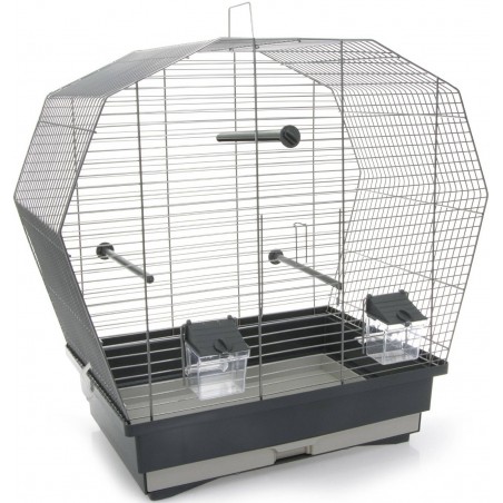 Ornibird SRL - Accessoires