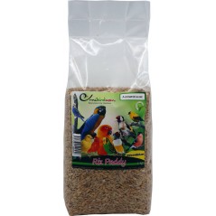Seed of Rice Paddy in kg 103047250/kg Grizo 2,75 € Ornibird