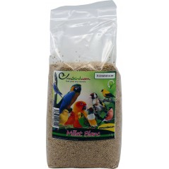 Millet Blanc au kg - Ornibird à 2,35 € - Beyers - 002709/kg - Graines Ornibird au kg