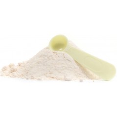 Psittamix 600gr - Aves - 21,95 € - Aves - 8711231187300 - Ornibird SRL