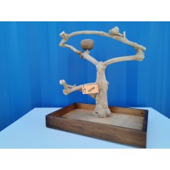 Aire de Jeux en bois de Java avec socle - Small - Back Zoo Nature - 99,95 € - Back Zoo Nature - 0741360989054 - Ornibird SRL