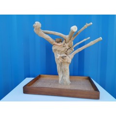 Aire de Jeux en bois de Java avec socle - Medium - Back Zoo Nature à 119,95 € - Back Zoo Nature - ZF1113 - Perchoirs
