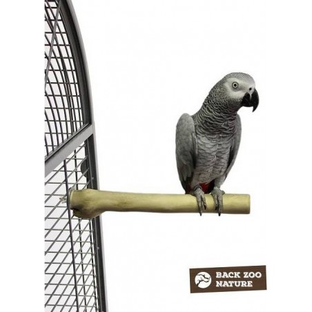 Avonturia - Ornibird SRL