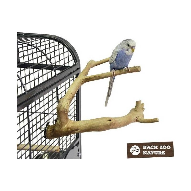 Perchoir Java Multi Perchoirs Premium 20cm X-Small - Back Zoo Nature Perchoir Java Multi Perchoirs Premium 20cm X-Small - Back Zoo Nature