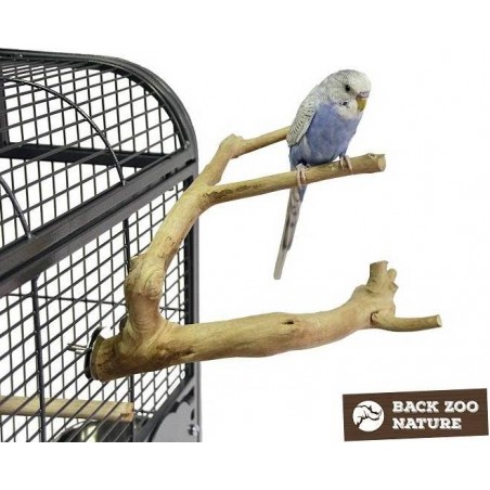 Perchoir Java Multi Perchoirs Premium 20cm X-Small - Back Zoo Nature à 16,95 € - Back Zoo Nature - ZF1015 - Perchoirs