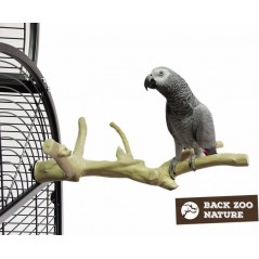 Perchoir Java Multi Perchoirs Premium 40cm Medium - Back Zoo Nature ZF1005 Back Zoo Nature 29,95 € Ornibird