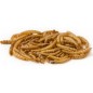 Mealworm, vers de farine déshydratés, seau de 5L - Ornibird Mealworm, vers de farine déshydratés, seau de 5L - Ornibird
