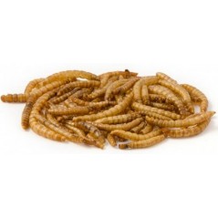 Mealworm, vers de farine déshydratés 500gr 10630-500 Private Label - Ornibird 8,94 € Ornibird
