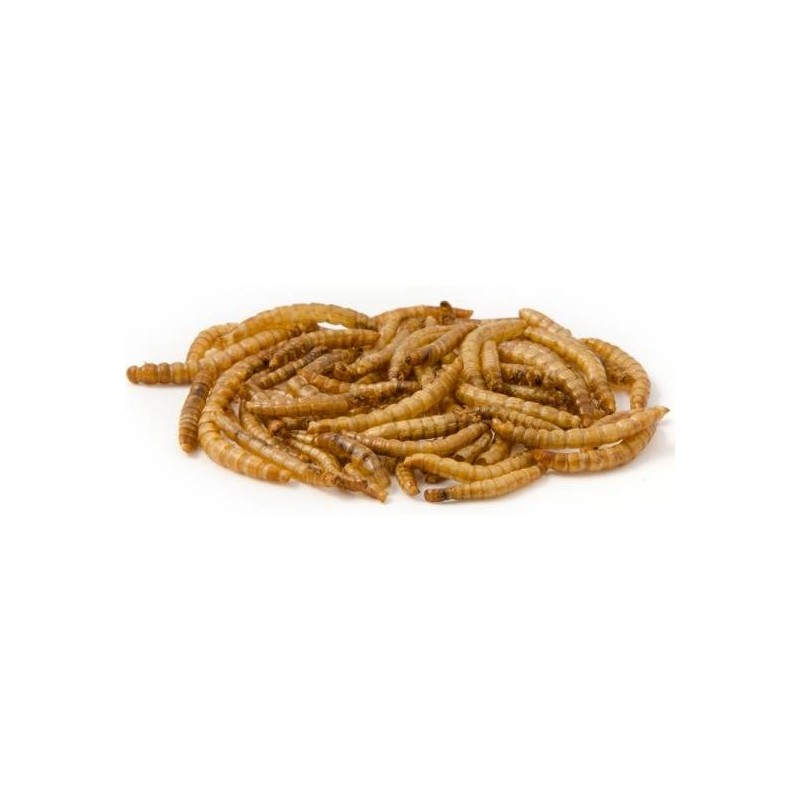 Mealworm, vers de farine déshydratés 500gr à 8,94 €