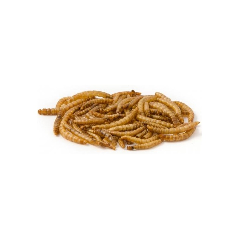 Mealworm, vers de farine déshydratés 500gr - Ornibird Mealworm, vers de farine déshydratés 500gr - Ornibird