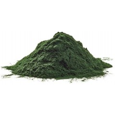 Spirulina Powder pour l’immunité et la qualité des plumes 500gr - Ornibird à 13,10 € - Private Label - Ornibird - 10540-500 -...