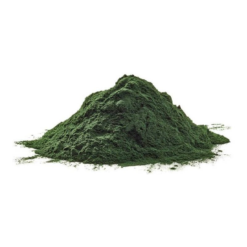 Spirulina Powder pour l’immunité et la qualité des plumes 500gr - Ornibird Spirulina Powder pour l’immunité et la qualité des plumes 500gr - Ornibird
