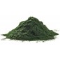Spirulina Powder pour l’immunité et la qualité des plumes 500gr - Ornibird Spirulina Powder pour l’immunité et la qualité des plumes 500gr - Ornibird
