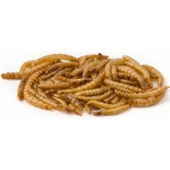 Mealworm, vers de farine déshydratés, seau de 1L 10630-1L Private Label - Ornibird 4,87 € Ornibird