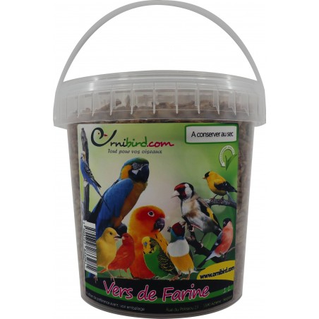 Ornibird SRL - Insectes