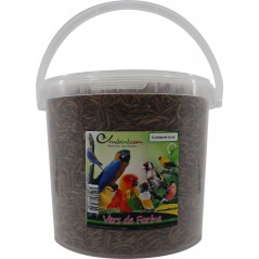 Mealworm, vers de farine déshydratés, seau de 5L 10630-5L/L Private Label - Ornibird 17,58 € Ornibird