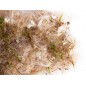 Coco - Sisal - Jute - Coton - Mousse 500gr - Sisal Fibre Coco - Sisal - Jute - Coton - Mousse 500gr - Sisal Fibre