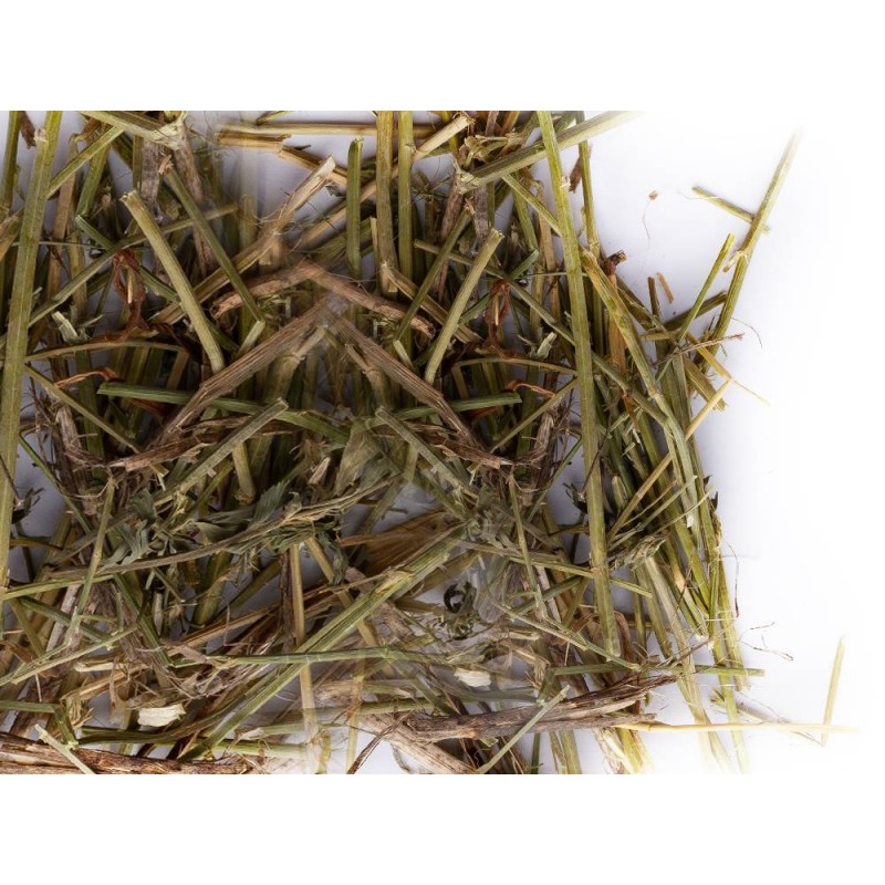 Matériaux Nids Psittacidés 250gr - Sisal Fibre Matériaux Nids Psittacidés 250gr - Sisal Fibre