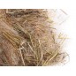 Mix Psittacidés avec Formule Active, 100% Naturelle 250gr - Sisal Fibre Mix Psittacidés avec Formule Active, 100% Naturelle 250gr - Sisal Fibre