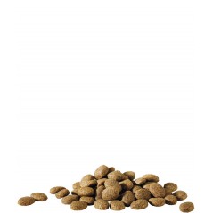 Happy Life Essential 20kg - Croquettes de base pour chiens adultes - 41,35 € - Versele-Laga - 5410340312056 - Ornibird SRL