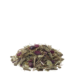 Nature Fibrefood Cavia 2,75kg - Mélange varié et riche en fibres pour cobayes sensibles - 17,65 € - Versele-Laga - 5410340614303 - Ornibird SRL