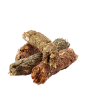 Complete Cuni Junior 8kg - Croquettes riches en protéines - jeunes lapins (nains) 6-8 mois Complete Cuni Junior 8kg - Croquettes riches en protéines - jeunes lapins (nains) 6-8 mois