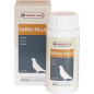 Oropharma Supra Pills 250pil - Pilule de vitesse à base d'herbes Oropharma Supra Pills 250pil - Pilule de vitesse à base d'herbes