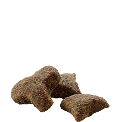Complete Ferret 10kg - Croquettes riches en protéines pour furets - 65,10 € - Versele-Laga - 5410340613016 - Ornibird SRL