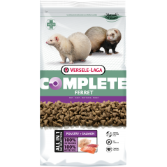 Complete Ferret 10kg - Croquettes riches en protéines pour furets à 65,10 € - Versele-Laga - 461301 - Complete