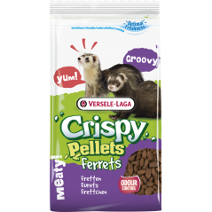 Crispy Pellets - Ferrets 10kg - Aliment en granulés, riches en protéines animales, pour furets - 35,95 € - Versele-Laga - 5410340615140 - Ornibird SRL