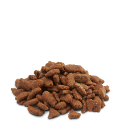 Crispy Pellets - Ferrets 10kg - Aliment en granulés, riches en protéines animales, pour furets - 35,95 € - Versele-Laga - 5410340615140 - Ornibird SRL