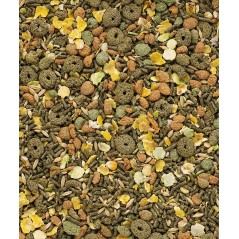 Classic Cavia 4kg - Aliment complet, mélange de base pour cobayes à 7,30 € - Versele-Laga - 461602 - Classic