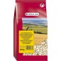 Versele- Laga Tournesols Blancs 600gr Versele- Laga Tournesols Blancs 600gr