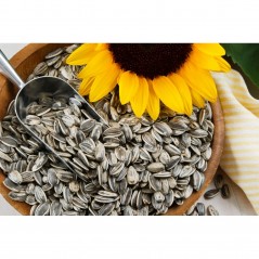 Versele- Laga Tournesols Striés 2,5kg - 7,45 € - Versele-Laga - 5410340513149 - Ornibird SRL