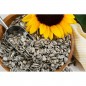 Versele- Laga Tournesols Striés 2,5kg Versele- Laga Tournesols Striés 2,5kg