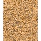 Insect mix 250gr - Menu Nature Insect mix 250gr - Menu Nature