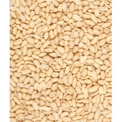 Menu Nature Peeled peanuts 1kg - Cacahuètes décortiquées pour un jardin propre 464810 Versele-Laga 6,90 € Ornibird