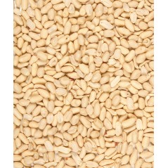 Peeled peanuts 1kg - Menu Nature - 6,90 € - Versele-Laga - 5410340648100 - Ornibird SRL