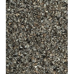 Sunflower seeds 1,5kg - Menu Nature 464807 Versele-Laga 6,10 € Ornibird