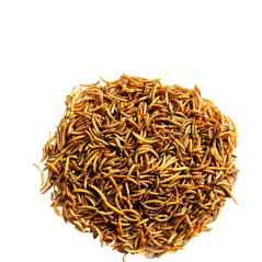 Menu Nature Vers de farine 300gr - 8,30 € - Versele-Laga - 5410340641262 - Ornibird SRL
